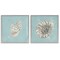 Stupell Industries Nautilus and Conch Seashells 2 pc Framed Giclee Wall Art Set Design by Julie Derice